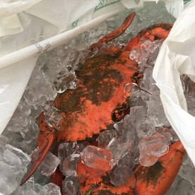 海で取れた蟹を使った簡単湯で蟹 レシピ 作り方 By Jinka 楽天レシピ 海で取れた蟹を使った簡単湯で蟹 レシピ 作り方 By Jinka 楽天レシピ